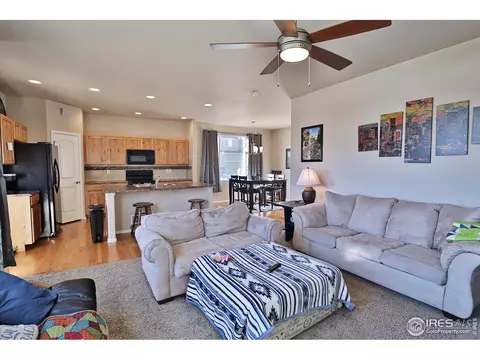 1625 First Light Dr, Windsor, CO 80550 photo 19