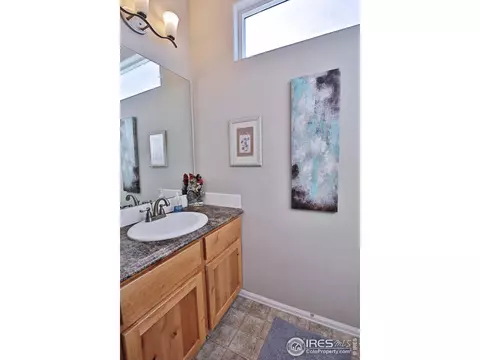 1625 First Light Dr, Windsor, CO 80550 photo 18