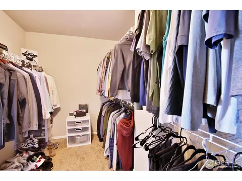 1625 First Light Dr, Windsor, CO 80550 photo 23