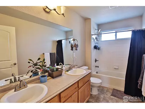 1625 First Light Dr, Windsor, CO 80550 photo 26