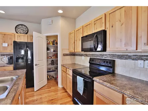 1625 First Light Dr, Windsor, CO 80550 photo 8