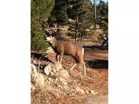 585 Deer Trail Rd, Boulder, CO 80302 photo 35