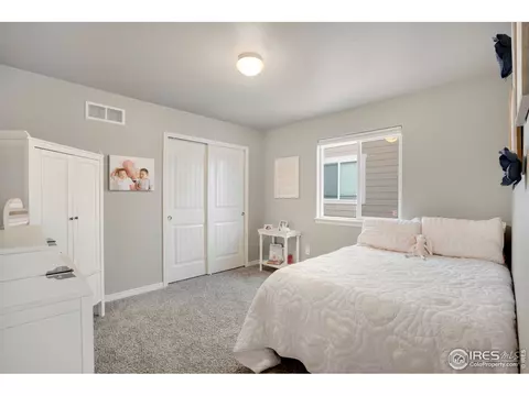 6098 Carmon Dr, Windsor, CO 80550 photo 20