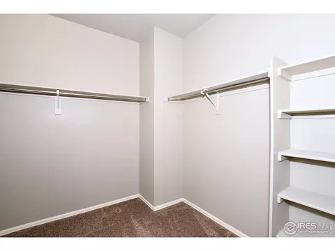 6154 Moran Rd, Timnath, CO 80547 photo 22