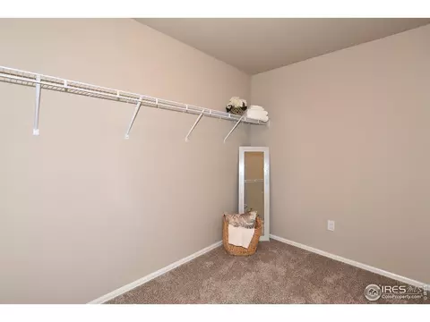 1036 Greenbrook Dr, Windsor, CO 80550 photo 20