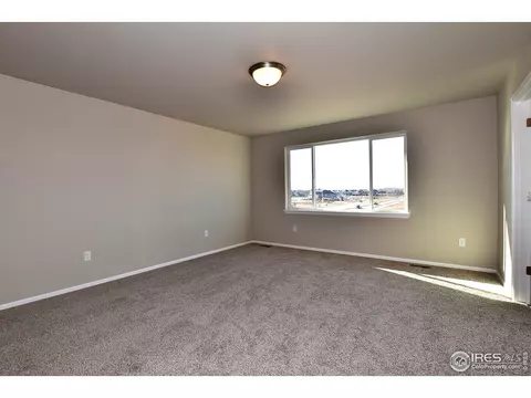 1036 Greenbrook Dr, Windsor, CO 80550 photo 16