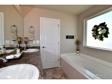 1036 Greenbrook Dr, Windsor, CO 80550 photo 19