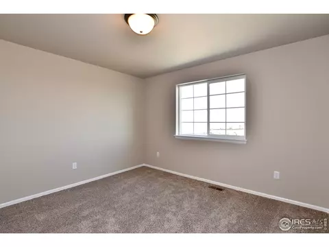 1036 Greenbrook Dr, Windsor, CO 80550 photo 25