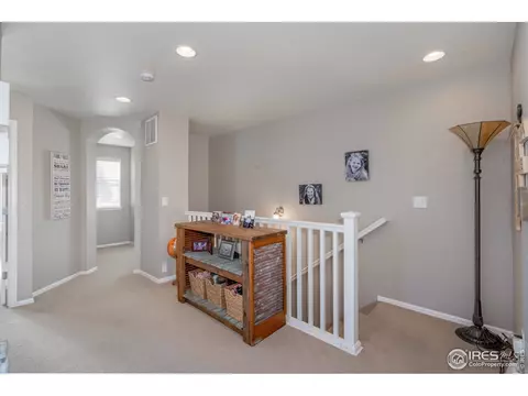 162 Siesta Key Dr, Windsor, CO 80550 photo 11