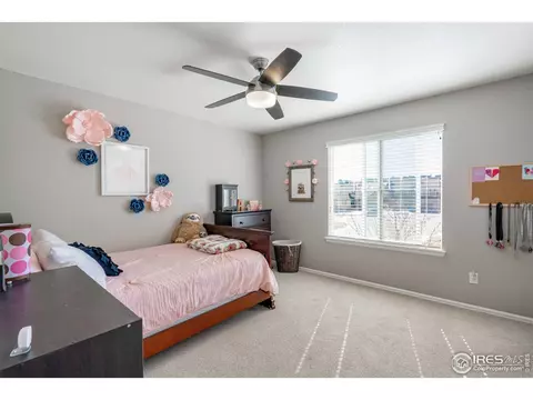 162 Siesta Key Dr, Windsor, CO 80550 photo 19