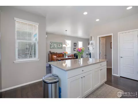 162 Siesta Key Dr, Windsor, CO 80550 photo 9
