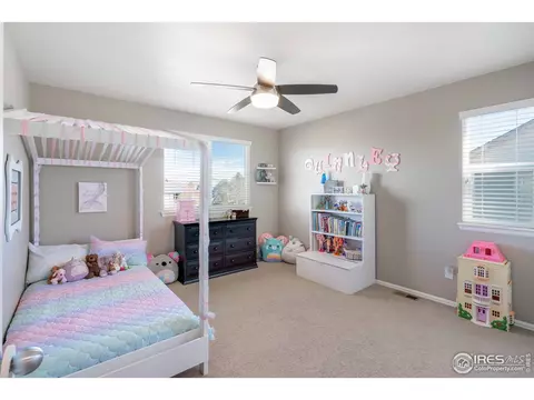 162 Siesta Key Dr, Windsor, CO 80550 photo 20
