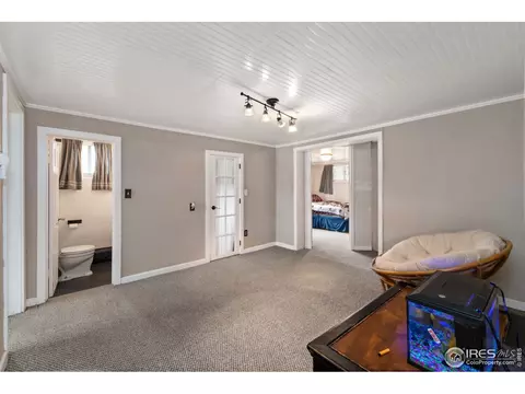 332 9th St, Windsor, CO 80550 photo 19