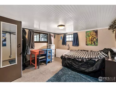 332 9th St, Windsor, CO 80550 photo 20