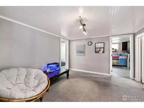 332 9th St, Windsor, CO 80550 photo 18