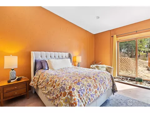 106 Bison Dr, Boulder, CO 80302 photo 25