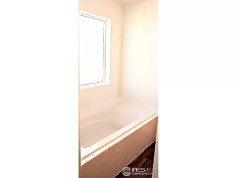 946 Greenbrook Dr, Windsor, CO 80550 photo 27