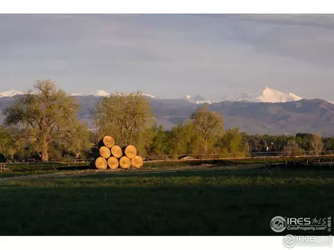 819 Latigo Loop, Lafayette, CO 80026 photo 3
