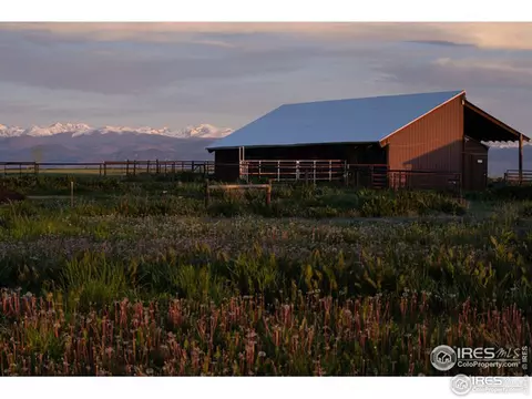 819 Latigo Loop, Lafayette, CO 80026 photo 4