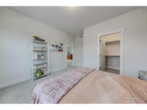 8451 Annapolis Dr, Windsor, CO 80528 photo 35