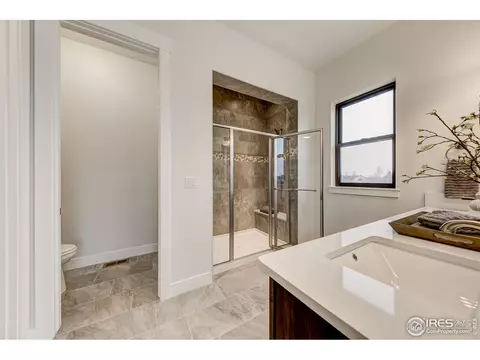 8451 Annapolis Dr, Windsor, CO 80528 photo 22