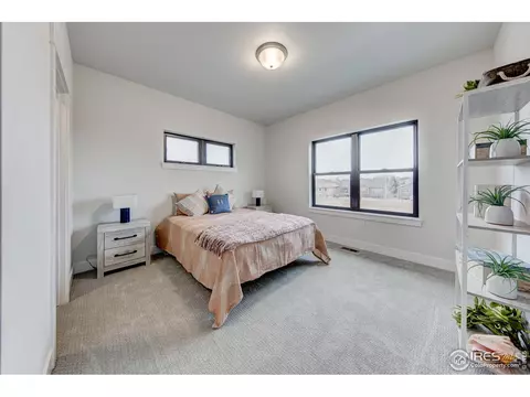 8451 Annapolis Dr, Windsor, CO 80528 photo 34
