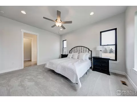 8451 Annapolis Dr, Windsor, CO 80528 photo 20