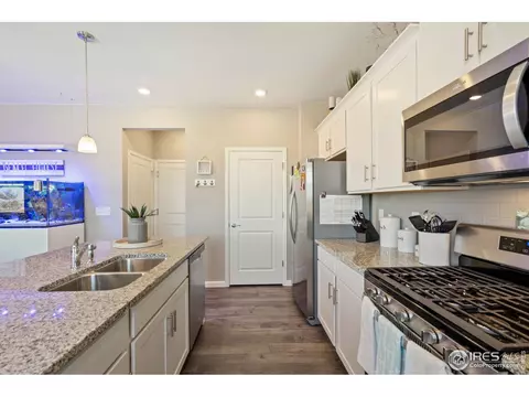 1906 Thunder Cloud Dr, Windsor, CO 80550 photo 10