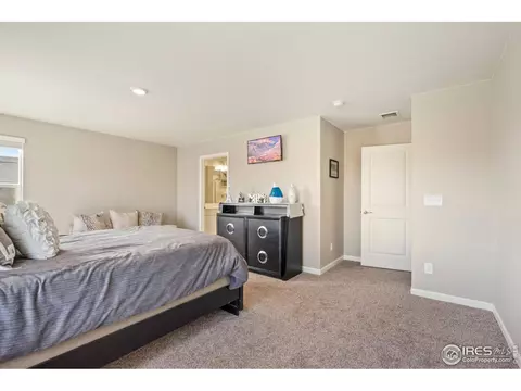1906 Thunder Cloud Dr, Windsor, CO 80550 photo 16