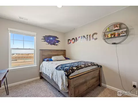 1906 Thunder Cloud Dr, Windsor, CO 80550 photo 22