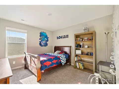 1906 Thunder Cloud Dr, Windsor, CO 80550 photo 20