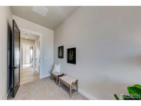182 Haymaker Ln, Severance, CO 80550 photo 23