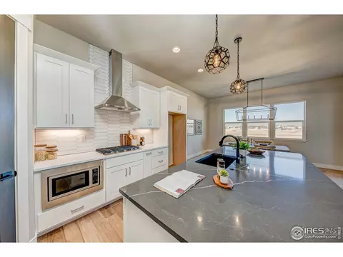 182 Haymaker Ln, Severance, CO 80550 photo 16