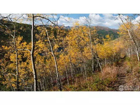 1823 Deer Trail Rd, Boulder, CO 80302 photo 30
