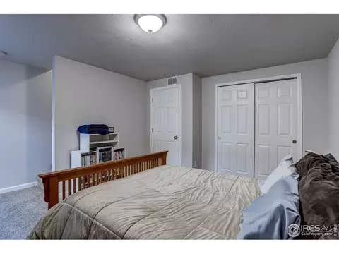 120 Walnut St, Windsor, CO 80550 photo 26