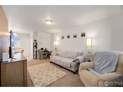 3715 Salida Ct, Evans, CO 80620 photo 4