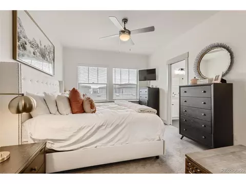 10010 E 59th Dr, Denver, CO 80238 photo 15