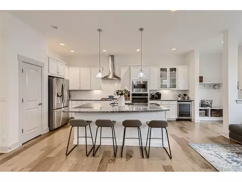 10010 E 59th Dr, Denver, CO 80238 photo 8