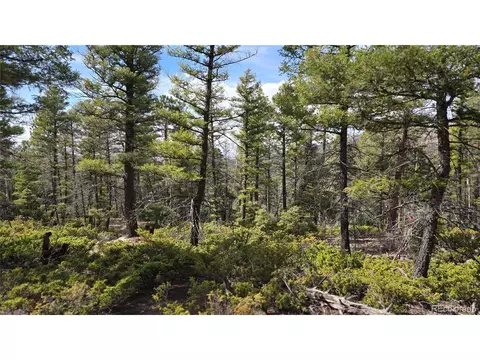 6070 Vreeland Rd, San Luis, CO 81152
