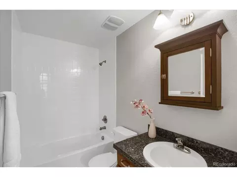 8290 E 24th Dr, Denver, CO 80238 photo 26