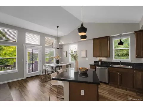 8290 E 24th Dr, Denver, CO 80238 photo 10