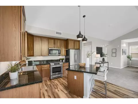 8290 E 24th Dr, Denver, CO 80238 photo 11