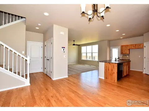 368 Littlebrook Ct, Windsor, CO 80550 photo 13