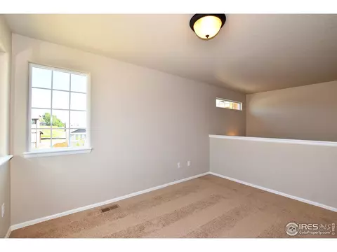 368 Littlebrook Ct, Windsor, CO 80550 photo 29