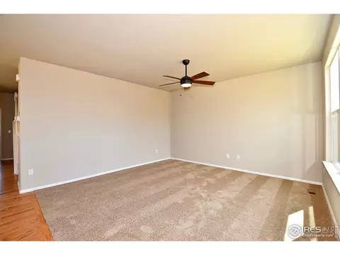 368 Littlebrook Ct, Windsor, CO 80550 photo 23