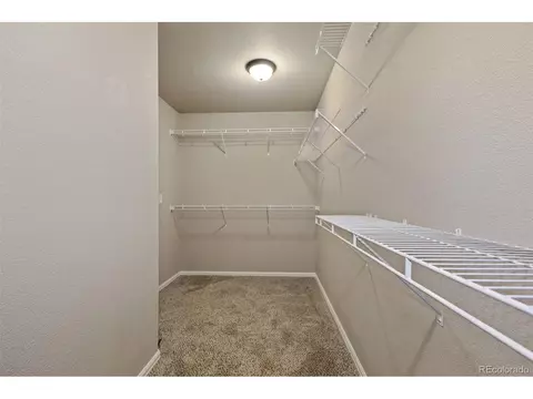 320 Torreys Dr, Severance, CO 80550 photo 22