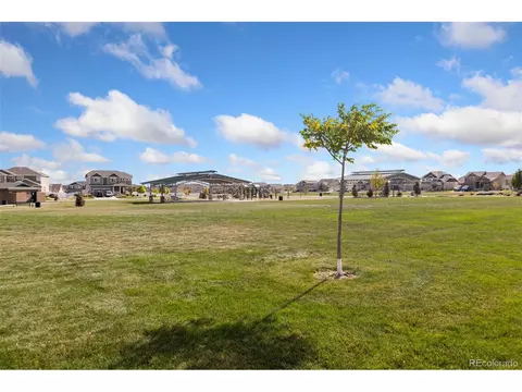 320 Torreys Dr, Severance, CO 80550 photo 30