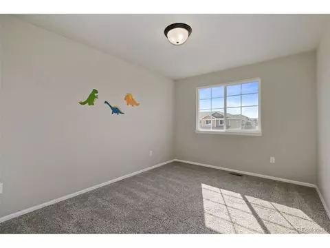 320 Torreys Dr, Severance, CO 80550 photo 24
