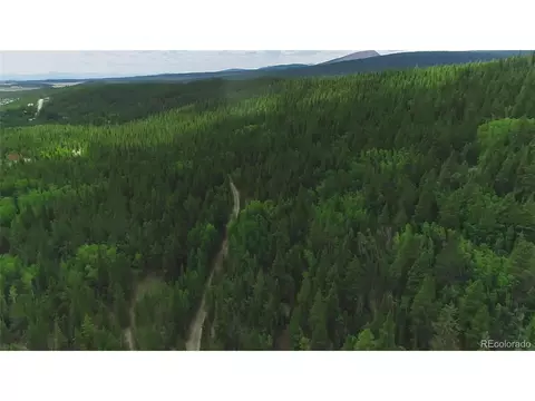 183 Lewsader Rd, Alma, CO 80420