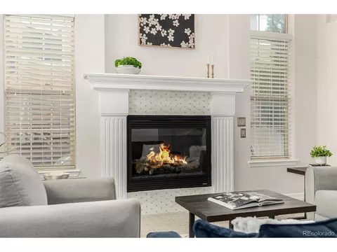 9155 Kornbrust Cir, Lone Tree, CO 80124 photo 4